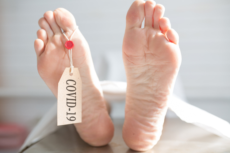 virus-covid-19-nalezen-v-mozku-pitvy-odhaluj-nov-informace